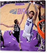 Willie Cauley-stein #12 Acrylic Print