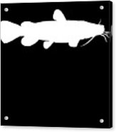 Funny Flathead Catfish Fishing Freshwater Fish Gift #14 Framed Print by  Lukas Davis - Pixels Merch