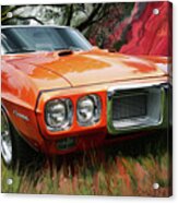 1969 Pontiac Firebird 400 In Box Canyon Acrylic Print