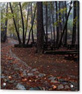 Autumn Landscape With Trees And Autumn Leaves On The Ground After Rain #7 Acrylic Print