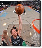 Blake Griffin #2 Acrylic Print