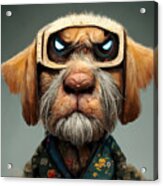 Cool  Cartoon  Old  Warrior  As  A  Dog    Realistic  6241641a  1b41  4aa6  B1ec  E8a4615e4bed #2 Acrylic Print
