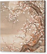Japanese Plum Blossoms In Moonlight #2 Acrylic Print