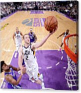 Joe Ingles #2 Acrylic Print