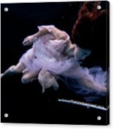 Nina Underwater For The Hydroflute Project #2 Acrylic Print