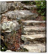Steps Into The Forest Acrylic Print
