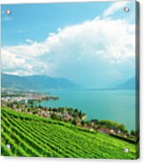 Vineyards Of Lavaux #2 Acrylic Print