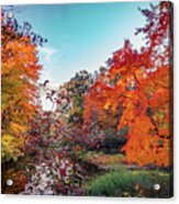 Vivid Colors Of Autumn 3 Acrylic Print