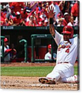 Yadier Molina #2 Acrylic Print