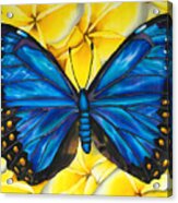 Blue Morpho Butterfly #2 Acrylic Print