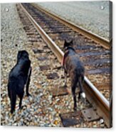 Irondale Train Viewing Platform #3 Acrylic Print