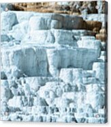 Travertine Terraces, Mammoth Hot Springs, Yellowstone #38 Acrylic Print