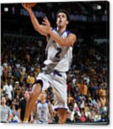 Lonzo Ball #4 Acrylic Print