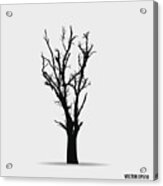 Tree Silhouettes. Vector Illustration. #4 Acrylic Print