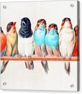 A Perch Of Birds By Hector Giacomelli Acrylic Print