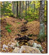 Appalachian Autumn Acrylic Print