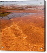 Grand Prismatic Spring In Yellowstone National Park #59 Acrylic Print