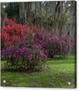A Simpler Time - Magnolia Plantation And Gardens Acrylic Print