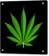 9-point Cannabis Leaf Black Background Acrylic Print