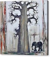 A Baobab Tree For A Baby Elephant Acrylic Print