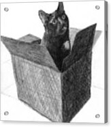 A Black Cat In A Box Sticking His Head Out Of The Box Acrylic Print