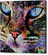 A Colorful Cat Named Kitty Acrylic Print