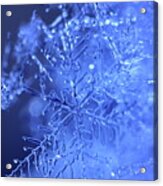 A Fragile Blue Snowflake Acrylic Print