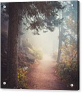 A Journey In The Mist Acrylic Print