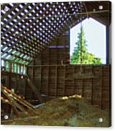 A Majestic Evergreen Through The Eyes Of An Old Barn Acrylic Print