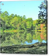 A Pond Full Of Trees Acrylic Print