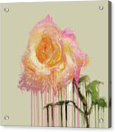 A Rose By Any Other Name - Cream Acrylic Print