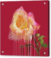 A Rose By Any Other Name - Red Acrylic Print