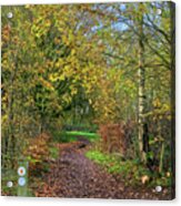 A Trail In Alkington Woods Acrylic Print
