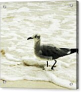 A Walk In The Surf Acrylic Print