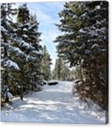 A Winter Trail Acrylic Print