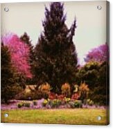 Arboretum In Spring Acrylic Print