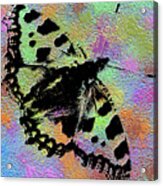 Abstract Butterfly Acrylic Print