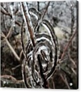 Abstract Treble Clef In Ice Acrylic Print