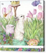 Adorable Bunny And Tulips Acrylic Print