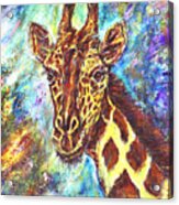 African Giraffe Acrylic Print