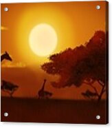 African Sunset I Acrylic Print