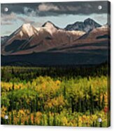 Alaska - Autumn Colors At Denali National Park Acrylic Print