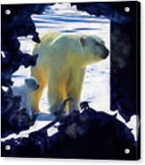 Alaska Shaped Polar Bear Acrylic Print