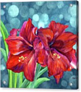 Amaryllis Duo - Pastel Colors Acrylic Print