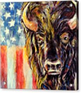 American Buffalo Acrylic Print