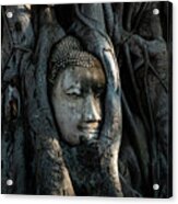 The Fallen Kingdom - Buddha Statue, Wat Mahathat, Thailand Acrylic Print
