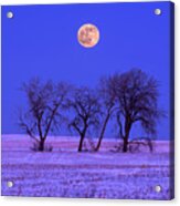 And All The Trees Of The Field Shall Clap Their Hands -  Moonrise Above Cottonwoods In Nd Snowscape Acrylic Print