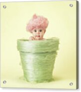Annabelle In Flowerpot Acrylic Print