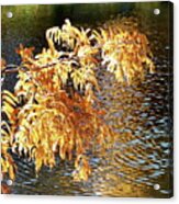 Another Reminder Of Autumn Acrylic Print