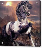 Apache War Horse Acrylic Print